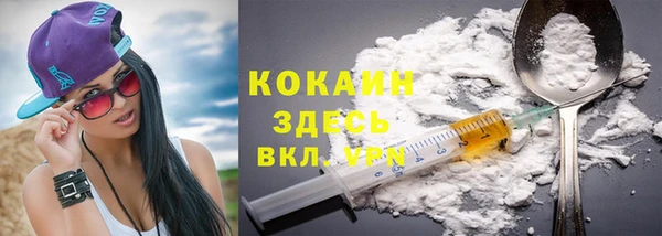 хмурый Алексин