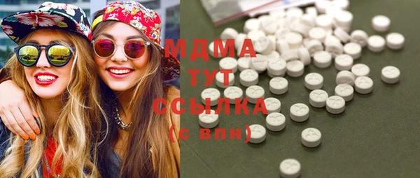 хмурый Алексин