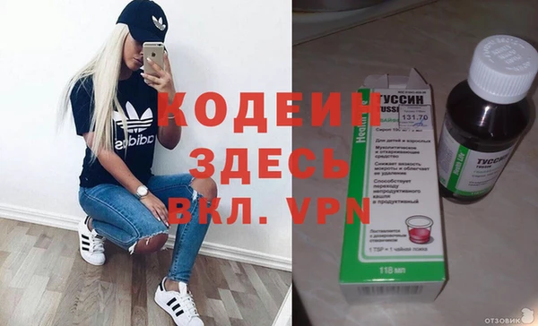 хмурый Алексин